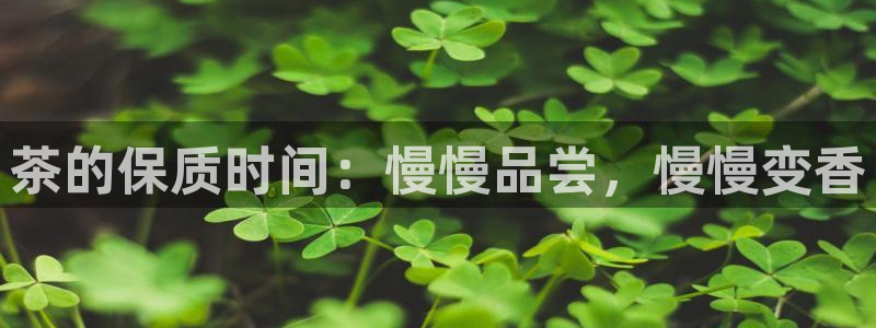 安信12级灯牌