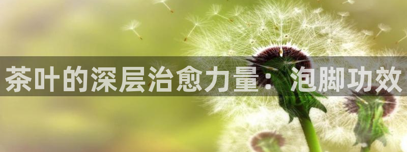 安信12平台注册