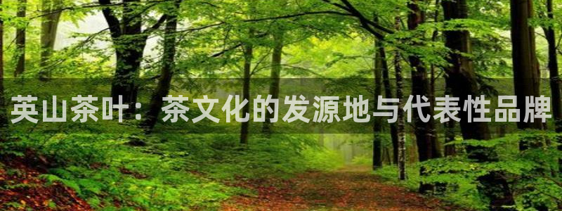 安信12是正轨网站吗