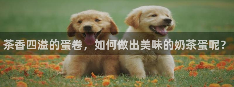 安信卓越12月