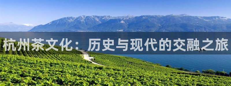 安信12娱乐7o777还