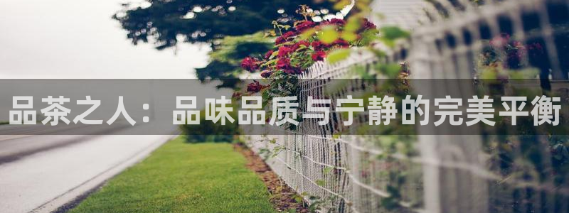 安信12想开户