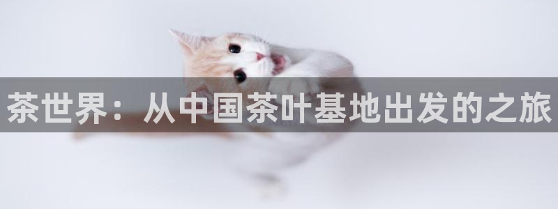 安信12注册登录