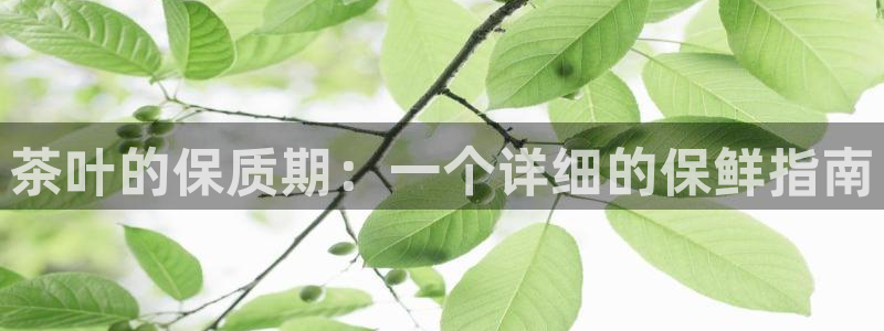 安信12周年庆典