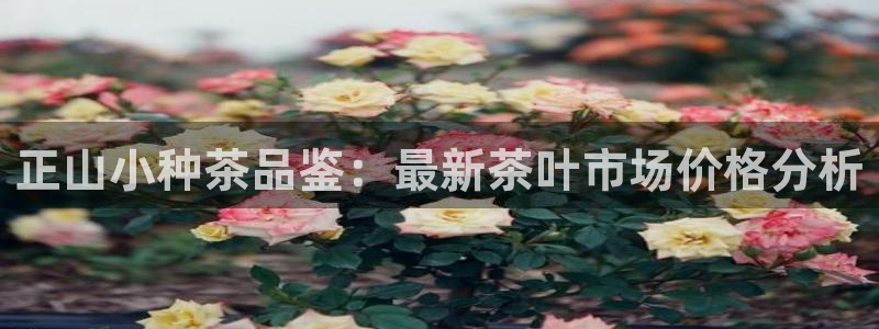 安信12想开户