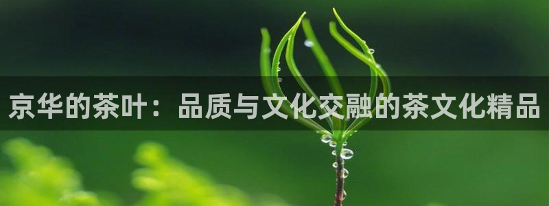 安信可12e12f