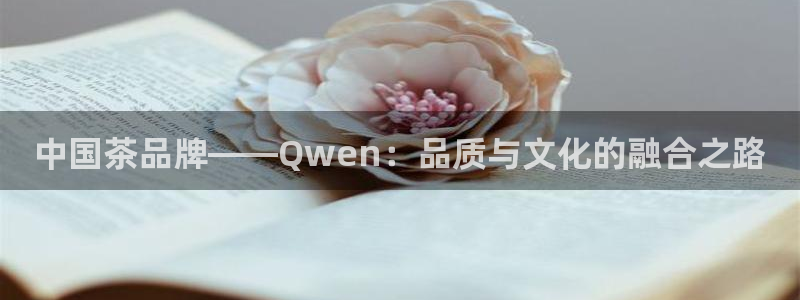 安信12平台的网址