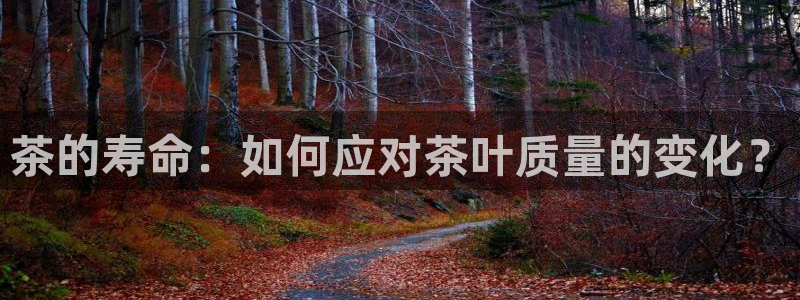 安信12级粉丝团福利