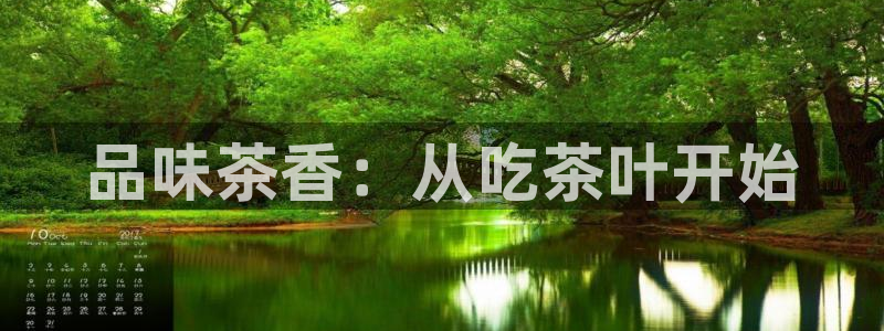安信卓越12月