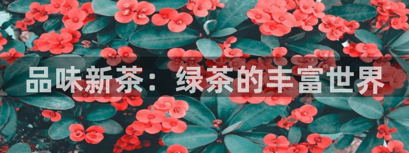 安信12注册代理