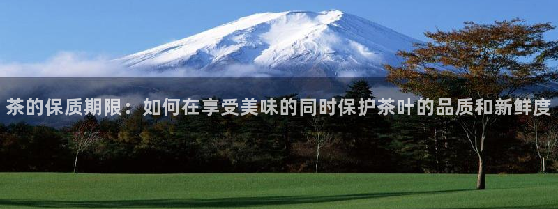 安信安赢12号