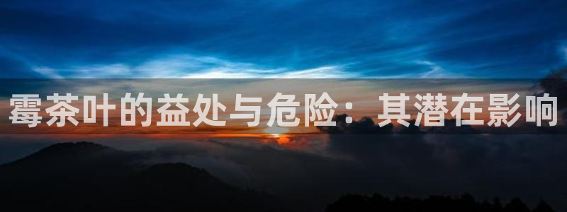安信12包赔