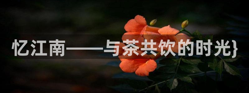 安信可 esp-12