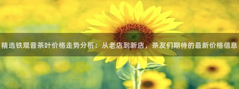 安信12周年庆