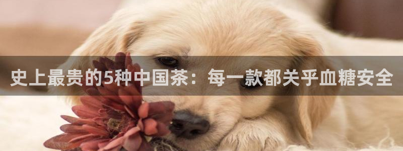 安信12平台可靠吗