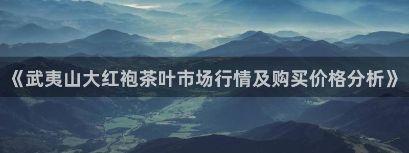安信12专用挂机