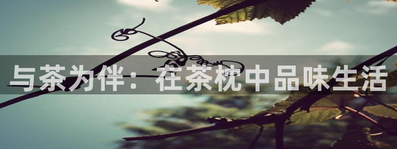 安信12官方下载