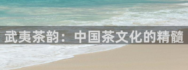 安信12位数资金号