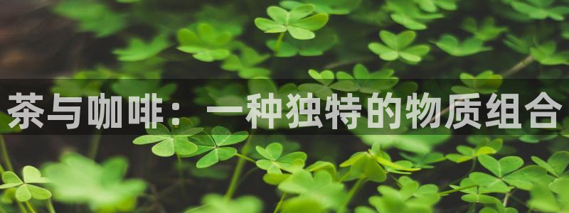 安卓12微信