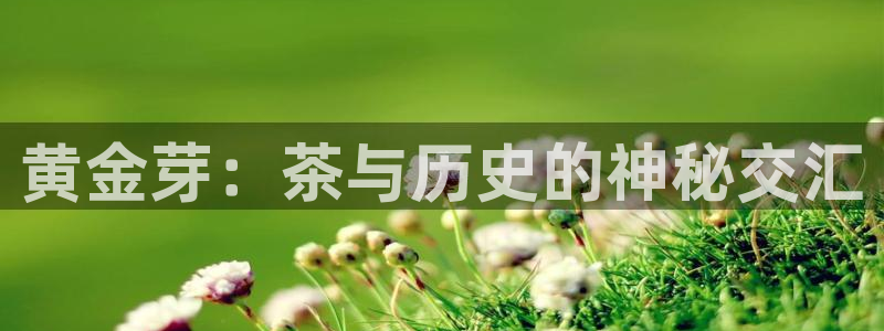 安信12娱乐