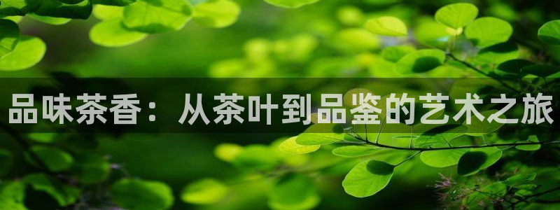 安信12想开户
