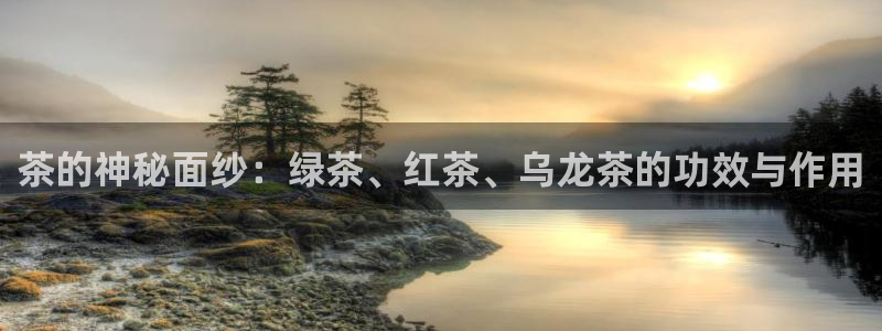 安信12包赔