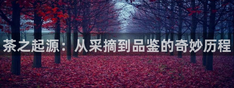 信安12乐打棒