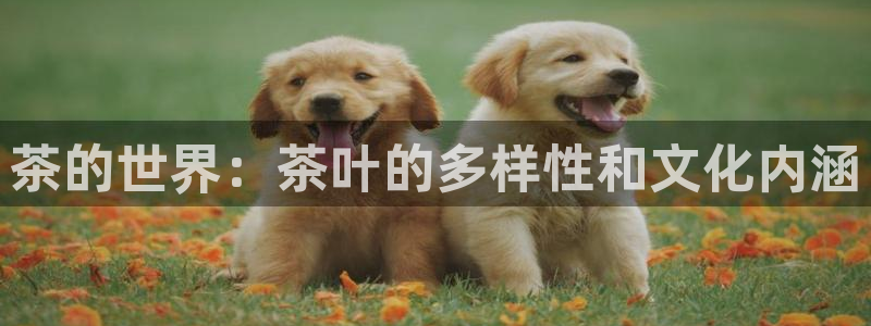 安信 12