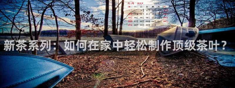 安信12注册代理