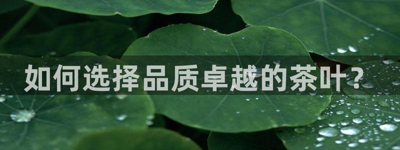 下载安信12