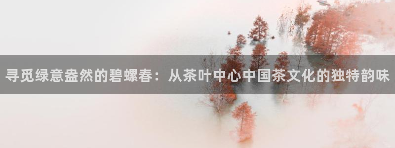 安信12娱乐