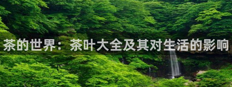安信12负责人