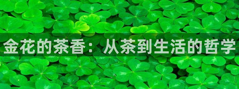 安信12注册咋7O777