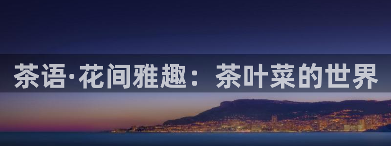 安信证券 12位