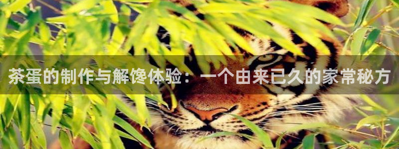 安信12想开户