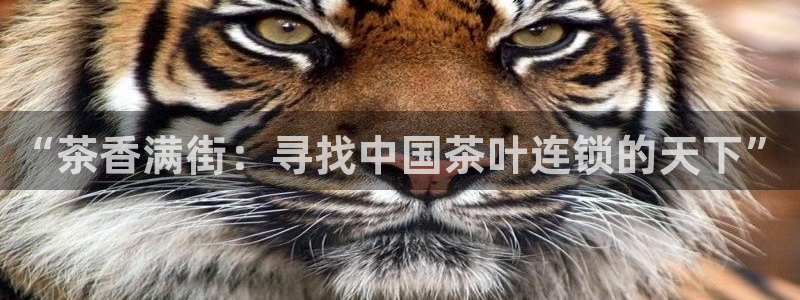 安信12平台官网