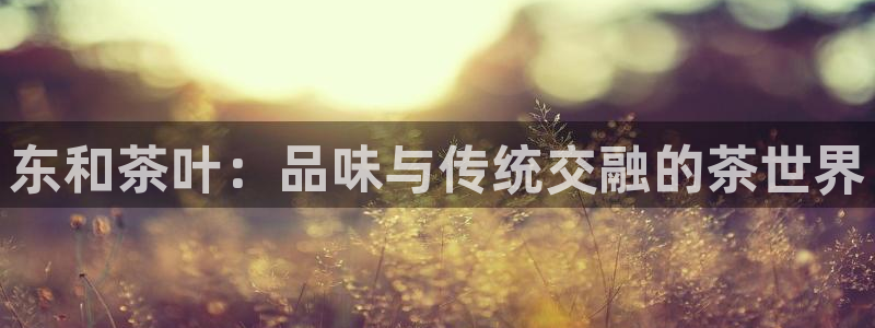 安信12是做什么