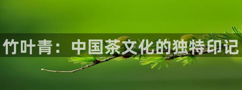 安信12注册代理