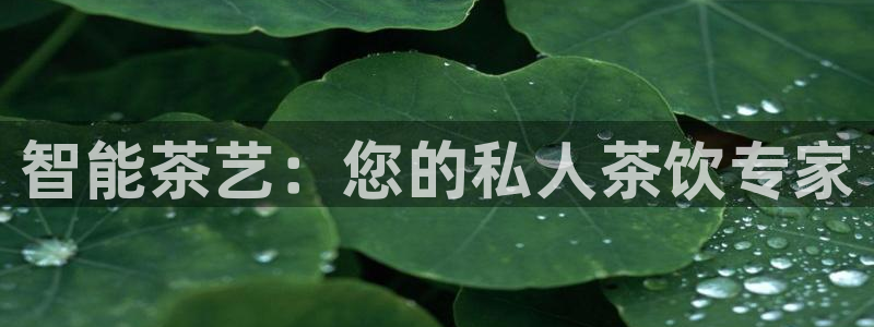 安信可esp-12