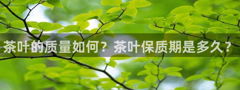 安信12代理