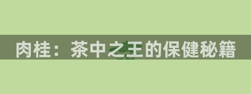 安信12赛车