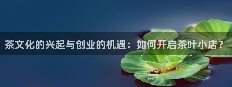 安信可12e12f
