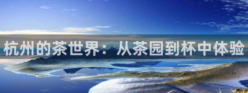安信12官方下载