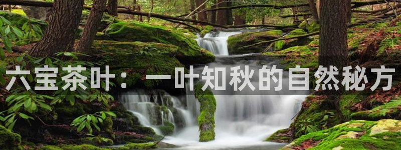 安信12包赔