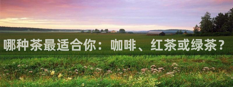 安信12注册登录