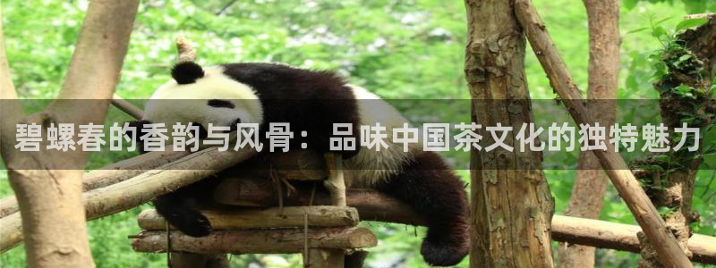 下载安信12