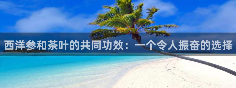 安信12赛车