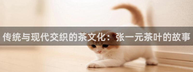 安信12招商