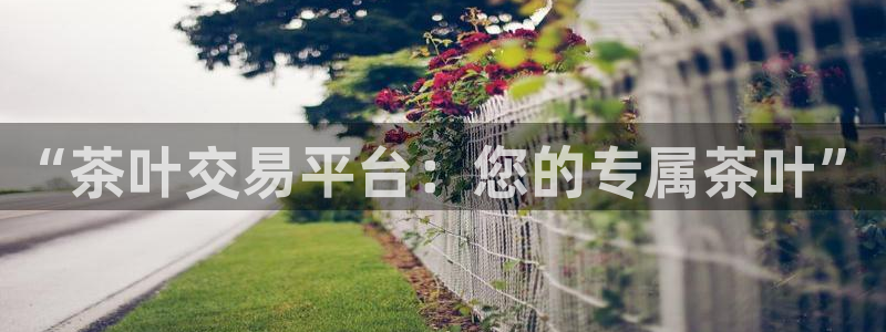 安信招商rk金12手12指jc
