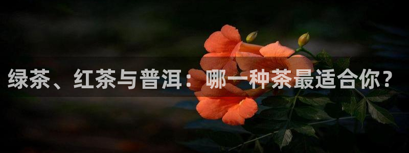 安信证券手机壳12